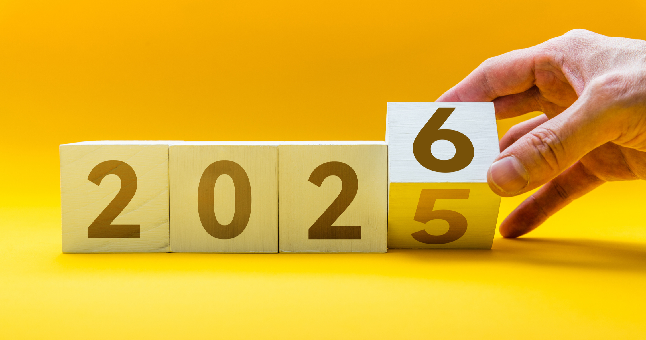 2025 Another Year Full of Energy (Developments)