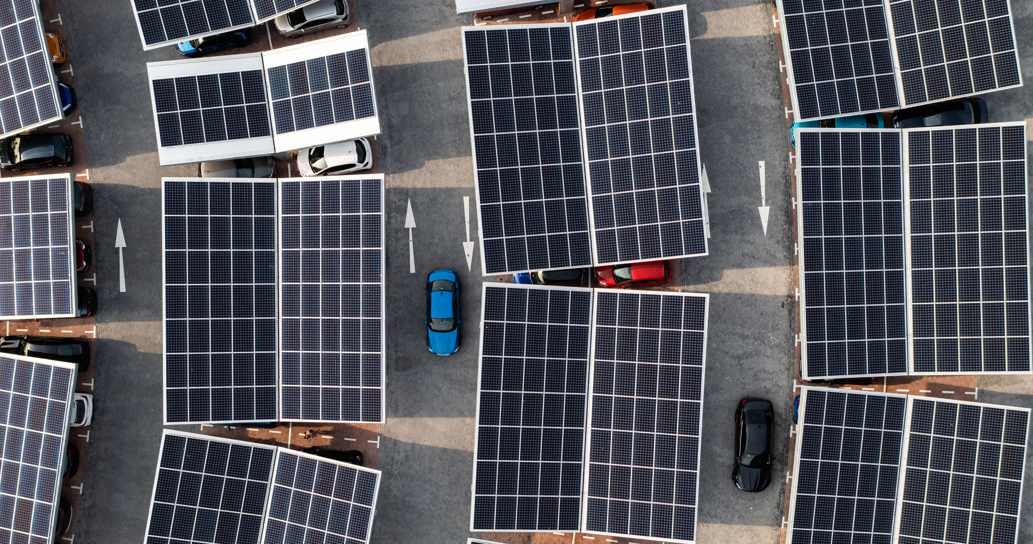Competition a key to VPP development: ACCC report