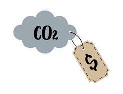 Carbon emissions: “Charismatic abatement” lacks compelling numbers